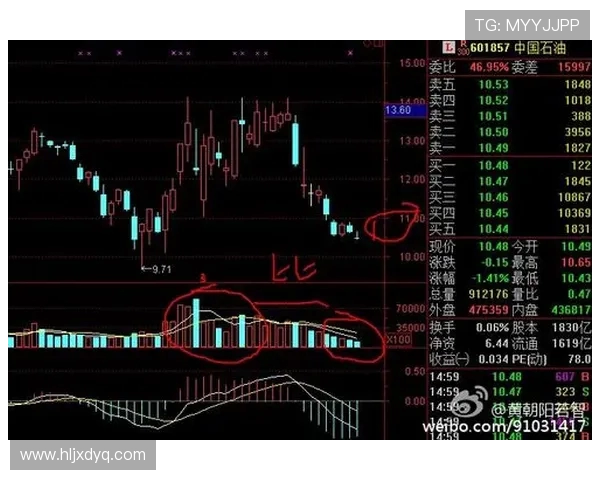 南京羽毛球队与杭州羽毛球队赛后复盘分析比赛节奏与战术对比