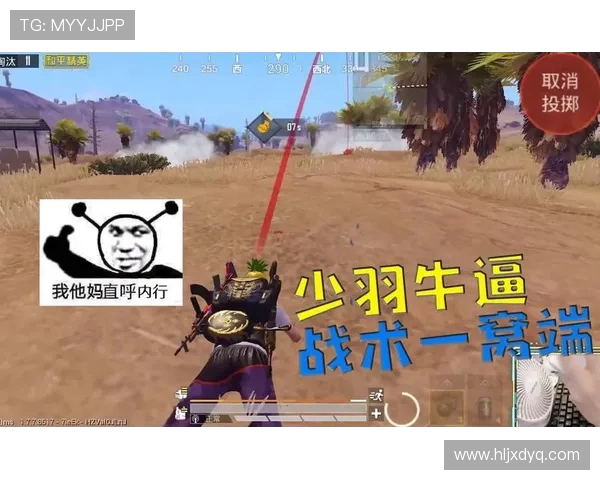 和平精英战术解析：深入剖析IG战队的进攻策略与团队配合